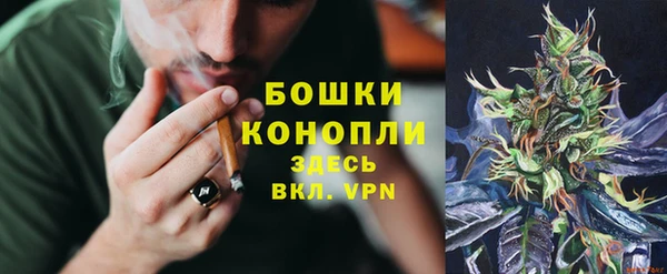 ПСИЛОЦИБИНОВЫЕ ГРИБЫ Абаза